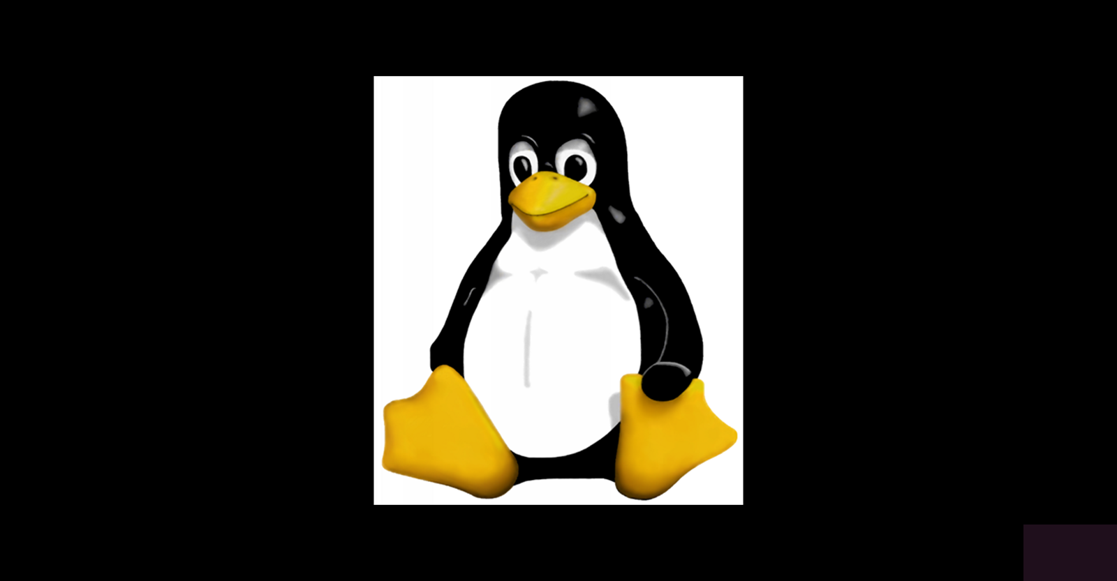 programas5 programas5